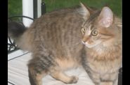 Chatterie d'Eawy