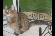 Chatterie d'Eawy