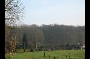hiver en forêt d'Eawy