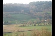 hiver en forêt d'Eawy