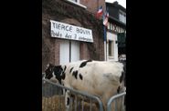 Marché aux bestiaux à Auffay