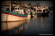 Les bateaux de Pornic