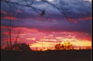Couchers-de-Soleil