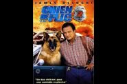 film-avec-des-chiens