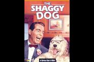 film-avec-des-chiens