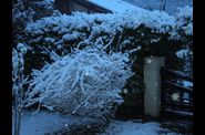 P1250196.jpg