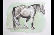 AQUARELLES Chevaux