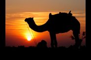 Northern India