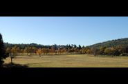 Automne-0029-Aby.jpg