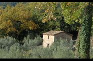 Cabanon-0089-w.jpg