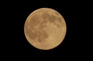 Lune-Divers_0044-W.jpg