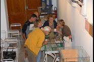 DSC_0118-c-W-copie-1.jpg