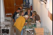 DSC_0118-c-W.jpg