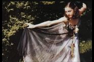Madonna: A Collection of Photographies, 1979-2010