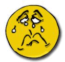 Les adjectifs