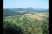 Dimberg