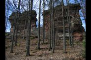 ERBSENFELS