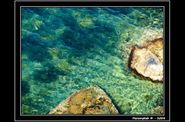 Paysages des Alpes-Maritimes