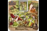 kit-Romarin