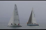 TETRAS-2008