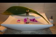 CASITA ORCHIDEA