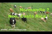 Surprenant-COSTA-RICA