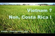 Surprenant-COSTA-RICA
