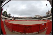 FERIA-ALES-CORRIDA-REJON-05062011