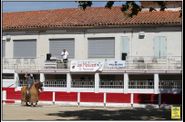 LOS-MOLINOS-TIENTA-10062012