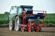 Agriculture-2-
