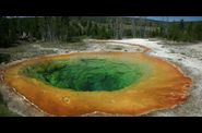 Les geysers du Yellowstone.