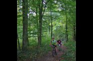 3h-VTT-2009