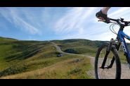 ETO VOLU’ LA BICI? PEDALA!