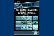 Calendrier 2011