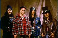 4-non-blondes-1.jpg