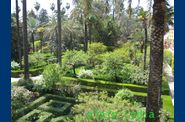 Jardin-Alcazar-Seville