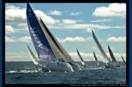 Solitaire-du-Figaro