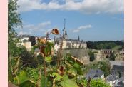 Luxembourg 11/14 juillet 2009