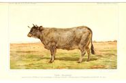 Dessins agriculture en couleur.-