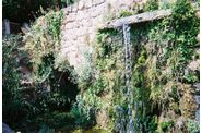 cascade-mini-cota-.jpg