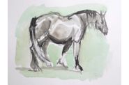 AQUARELLES Chevaux