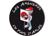 ARENEROS-PA-DEJ-F.ANDRE-13022011