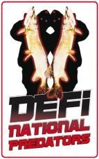 logo dfinational