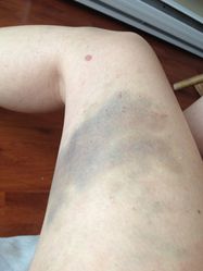 2012-part-2-1336.jpg