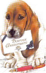 chien2.gif