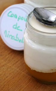 yaourt compote de mirabelles bio 4