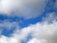 DSC00128.jpg