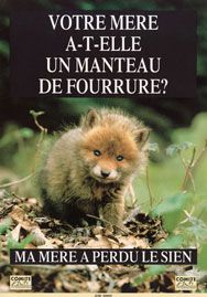 affiche.jpg