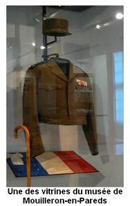 vitrine