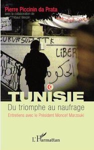 Couverture Tunisie du triomphe au naufrage